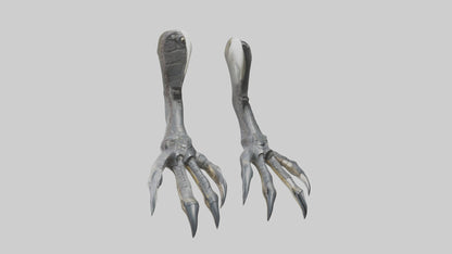 3D model Falcon Talons VR / AR / low-poly