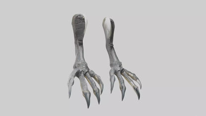 3D model Falcon Talons VR / AR / low-poly