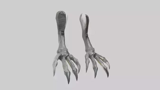 3D model Falcon Talons VR / AR / low-poly