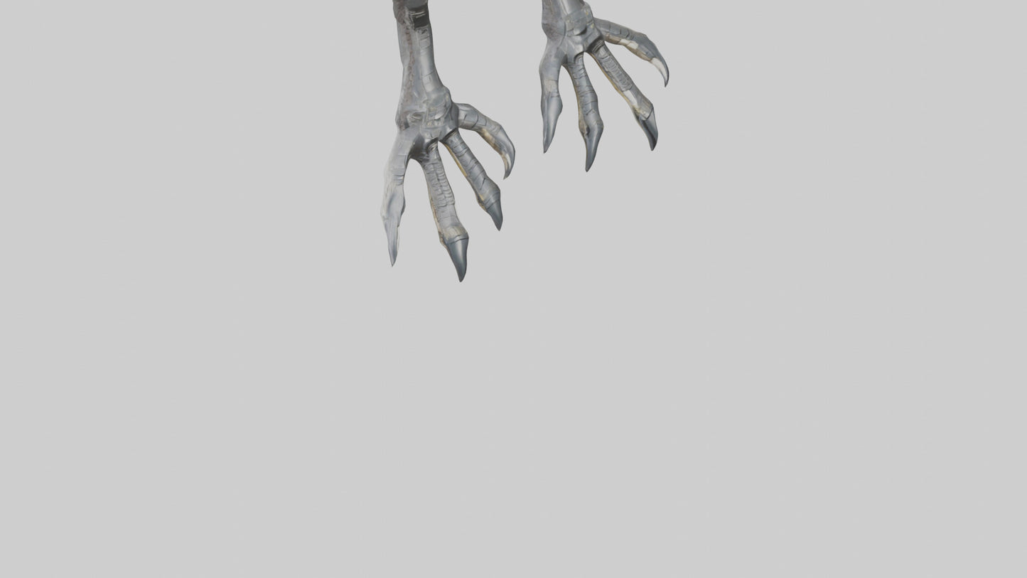 3D model Falcon Talons VR / AR / low-poly