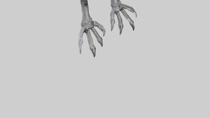 3D model Falcon Talons VR / AR / low-poly