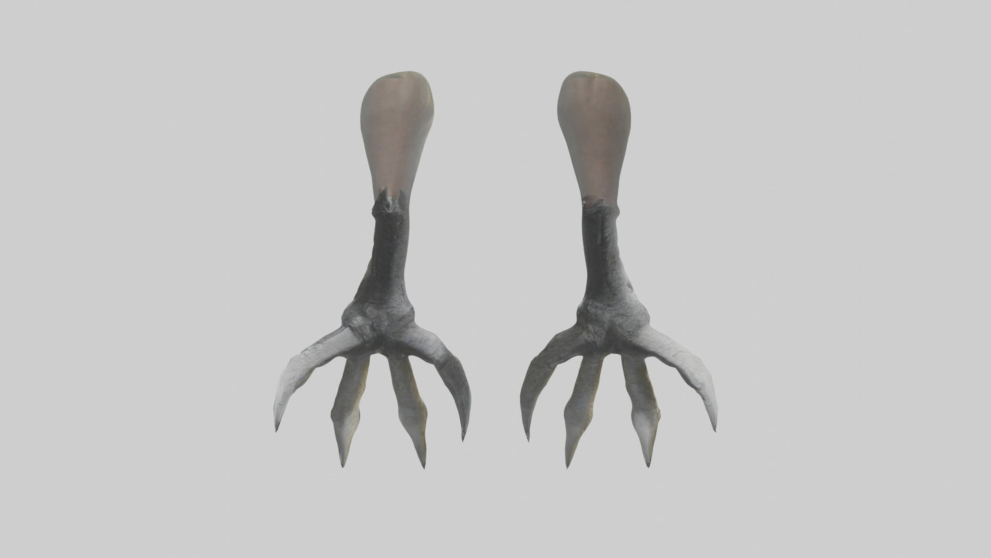 3D model Falcon Talons VR / AR / low-poly
