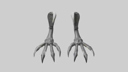 3D model Falcon Talons VR / AR / low-poly