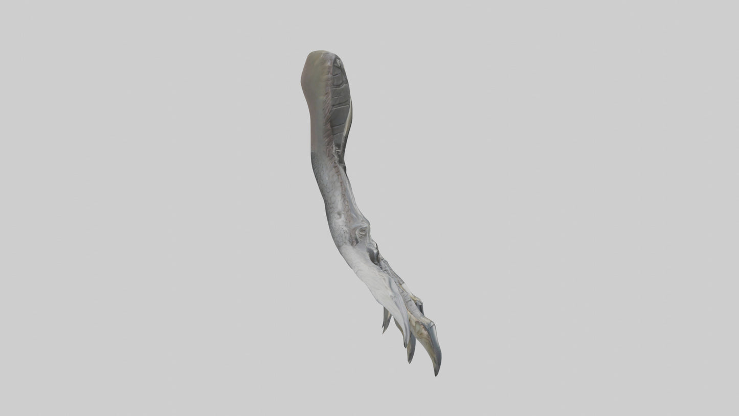 3D model Falcon Talons VR / AR / low-poly