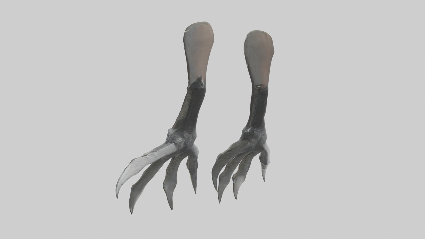 3D model Falcon Talons VR / AR / low-poly