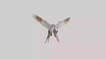 Falcon Wings Model 3D model