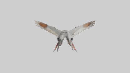 Falcon Wings Model 3D model