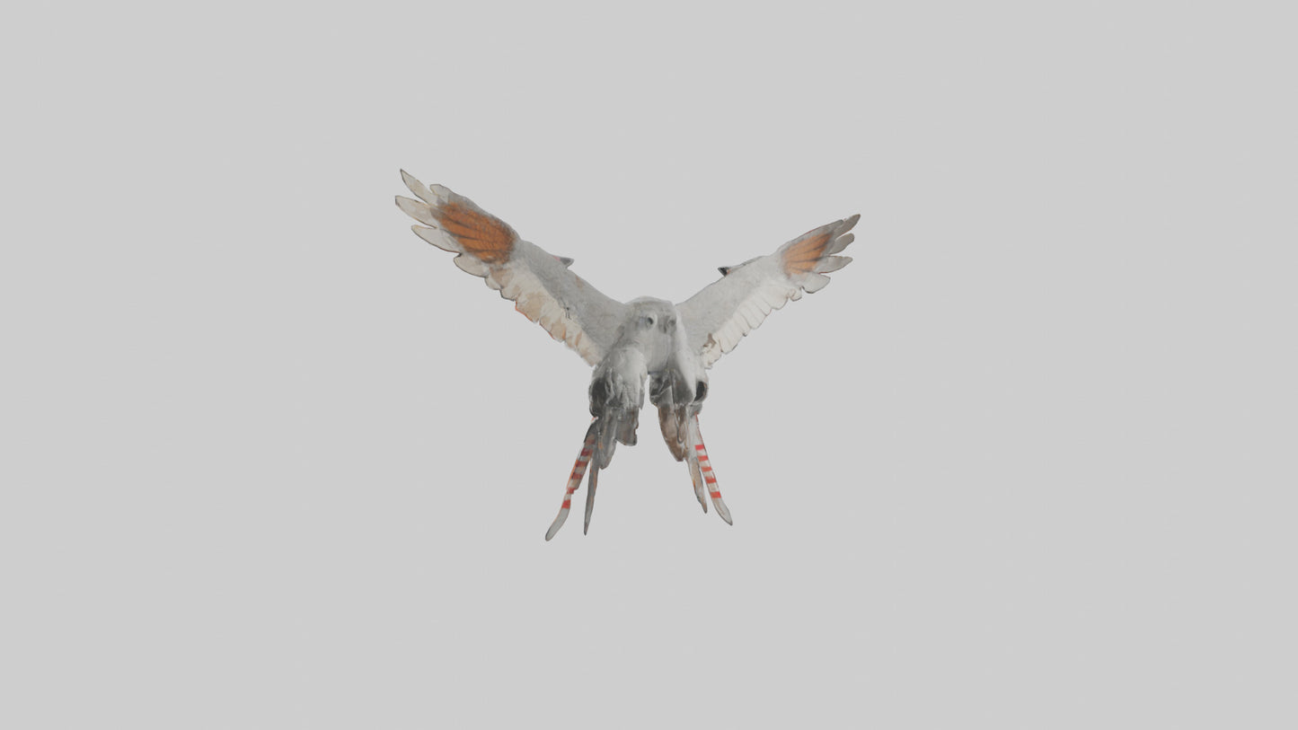 Falcon Wings Model 3D model