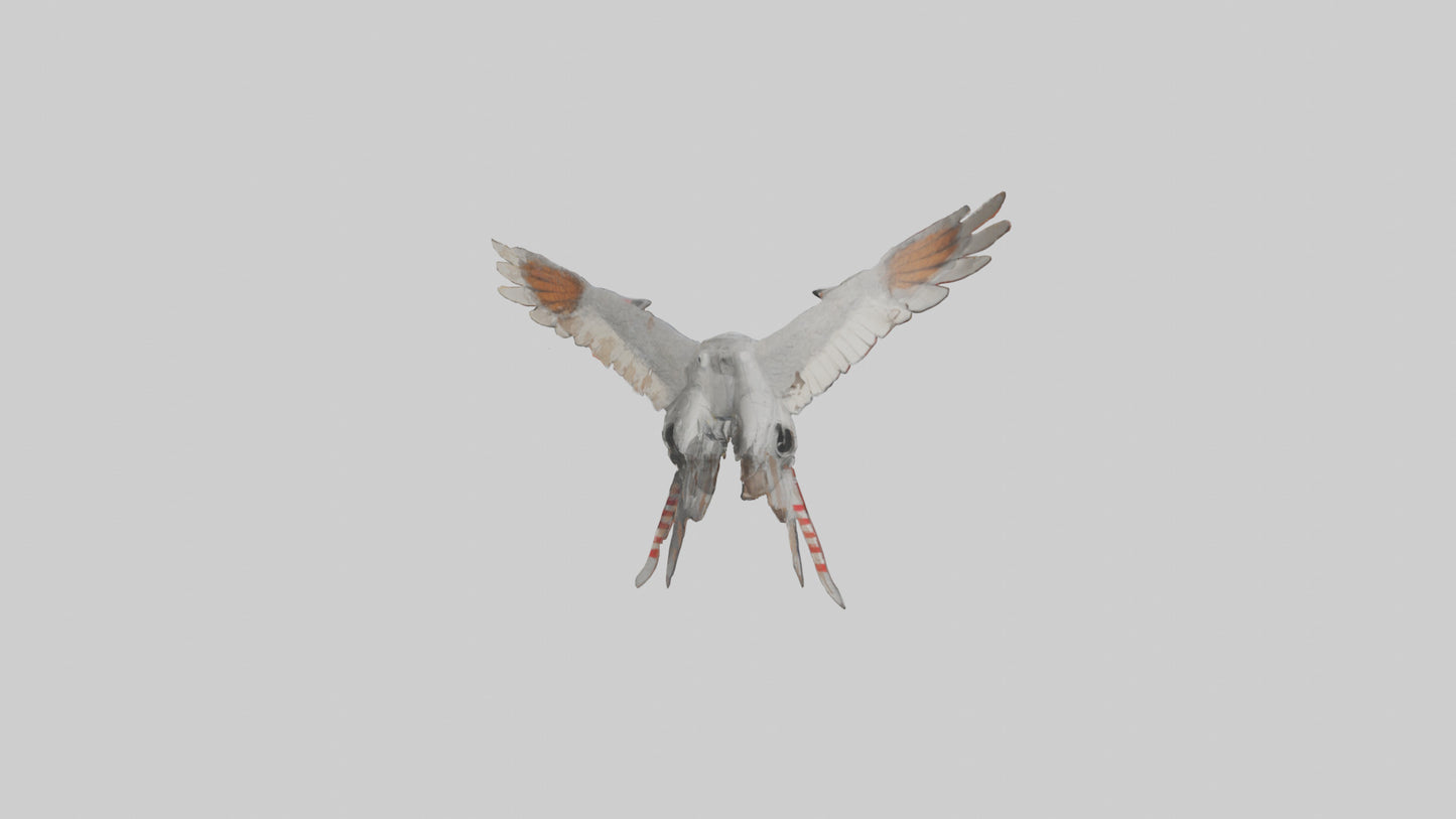 Falcon Wings Model 3D model