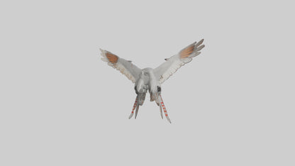 Falcon Wings Model 3D model