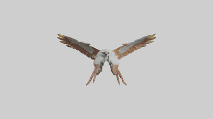 Falcon Wings Model 3D model