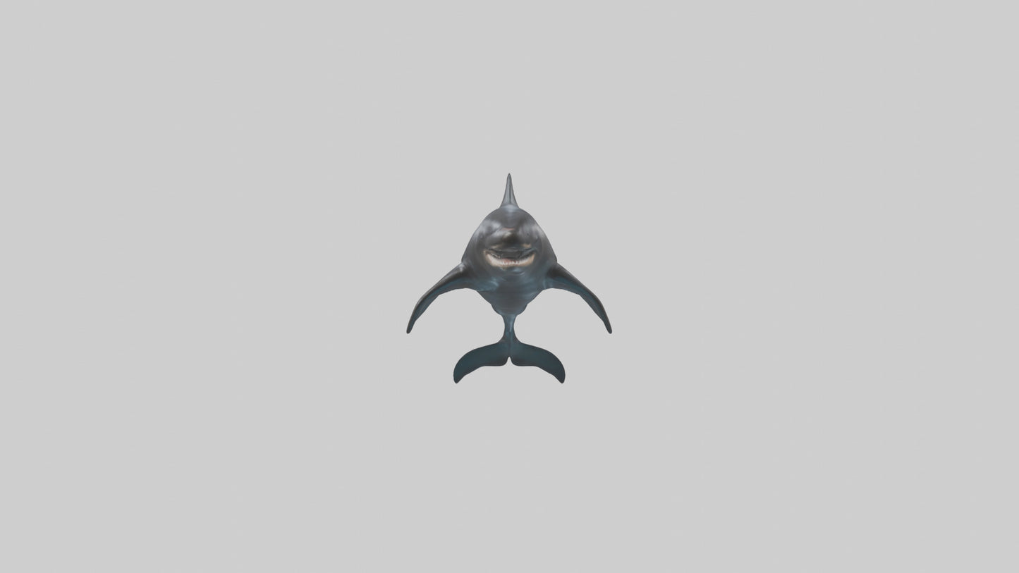 False Killer Whale jumping model 3D model