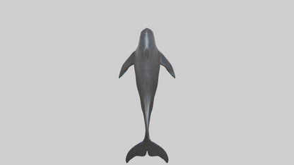 False Killer Whale jumping model 3D model