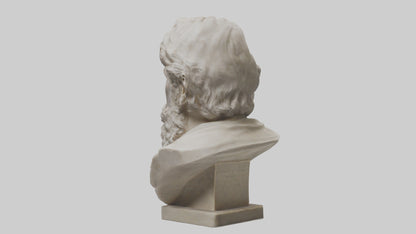 Famous Philosopher Bust model 3D model