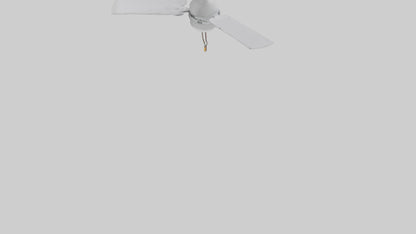 Fan model 2 3D model