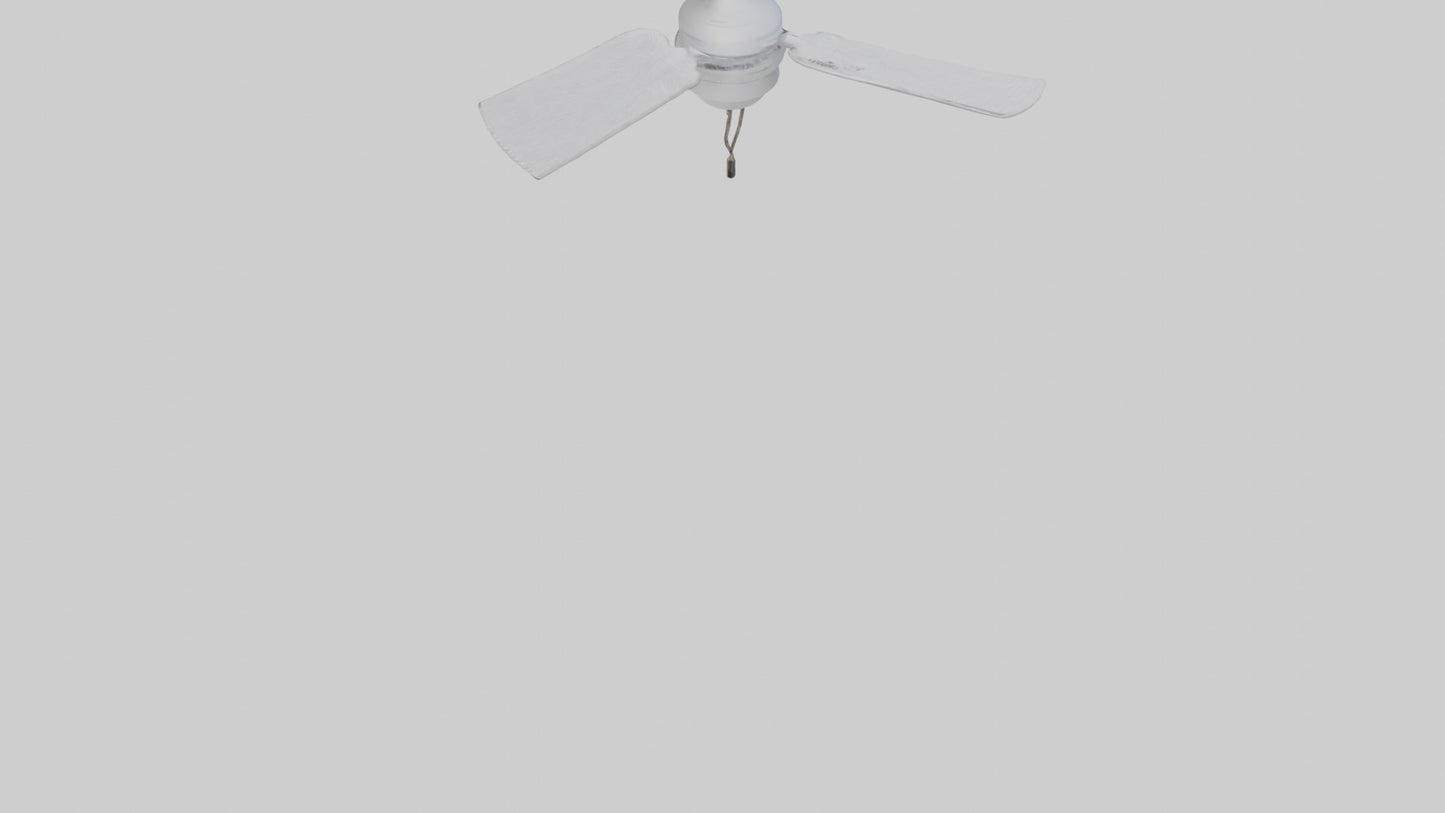 Fan model 2 3D model