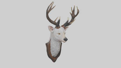 Faux animal head mount model 3D model