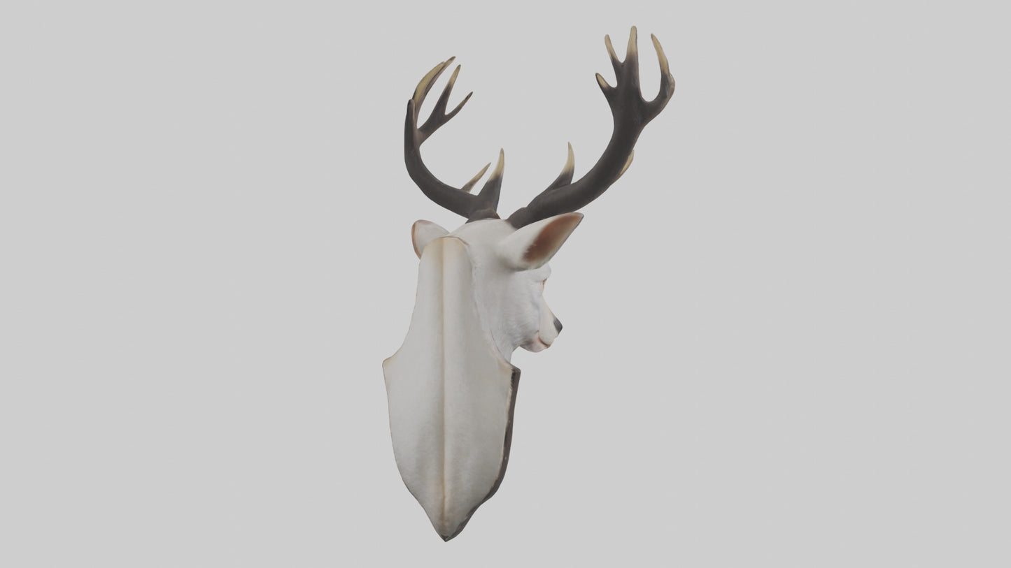 Faux animal head mount model 3D model