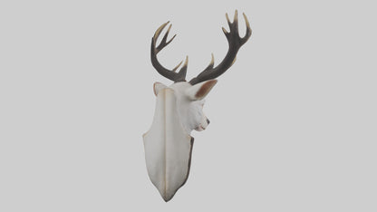Faux animal head mount model 3D model