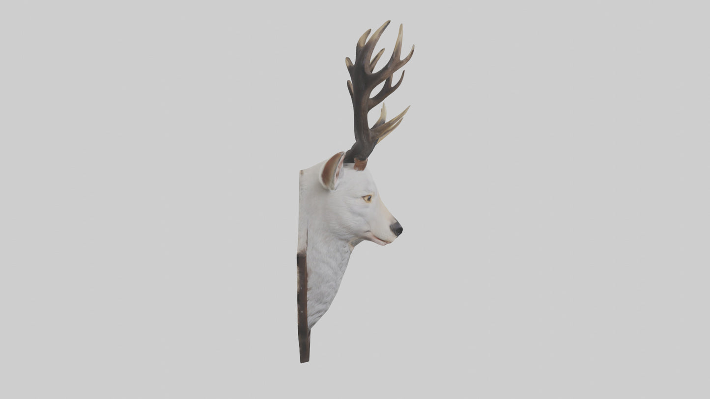 Faux animal head mount model 3D model
