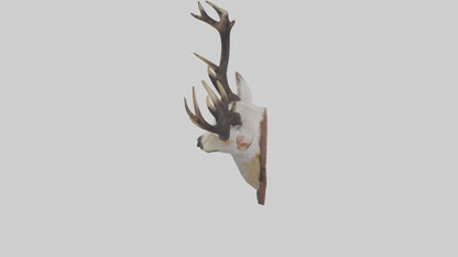 Faux animal head mount model 3D model