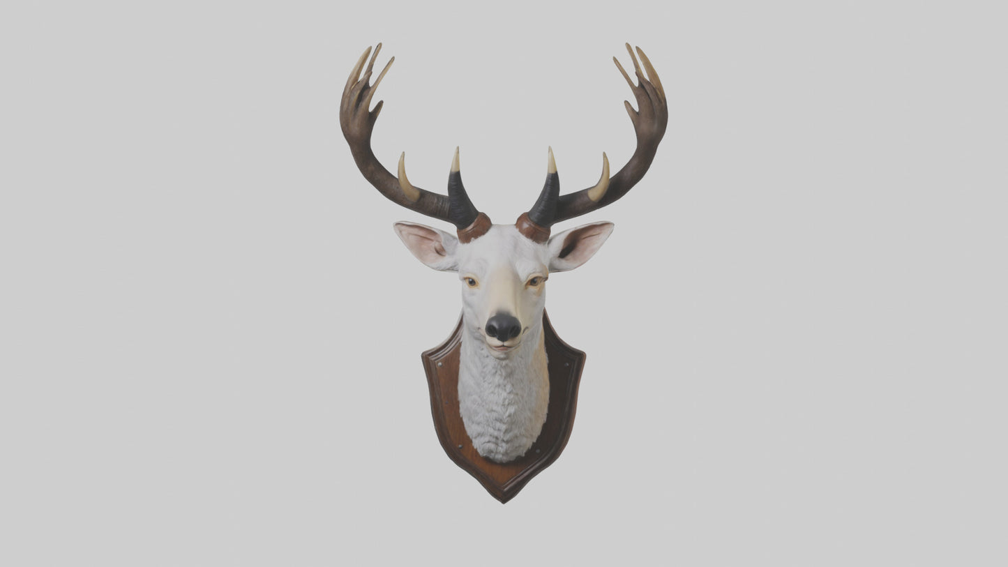Faux animal head mount model 3D model