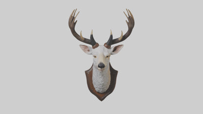 Faux animal head mount model 3D model