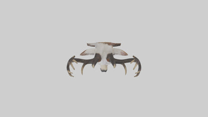 Faux animal head mount model 3D model