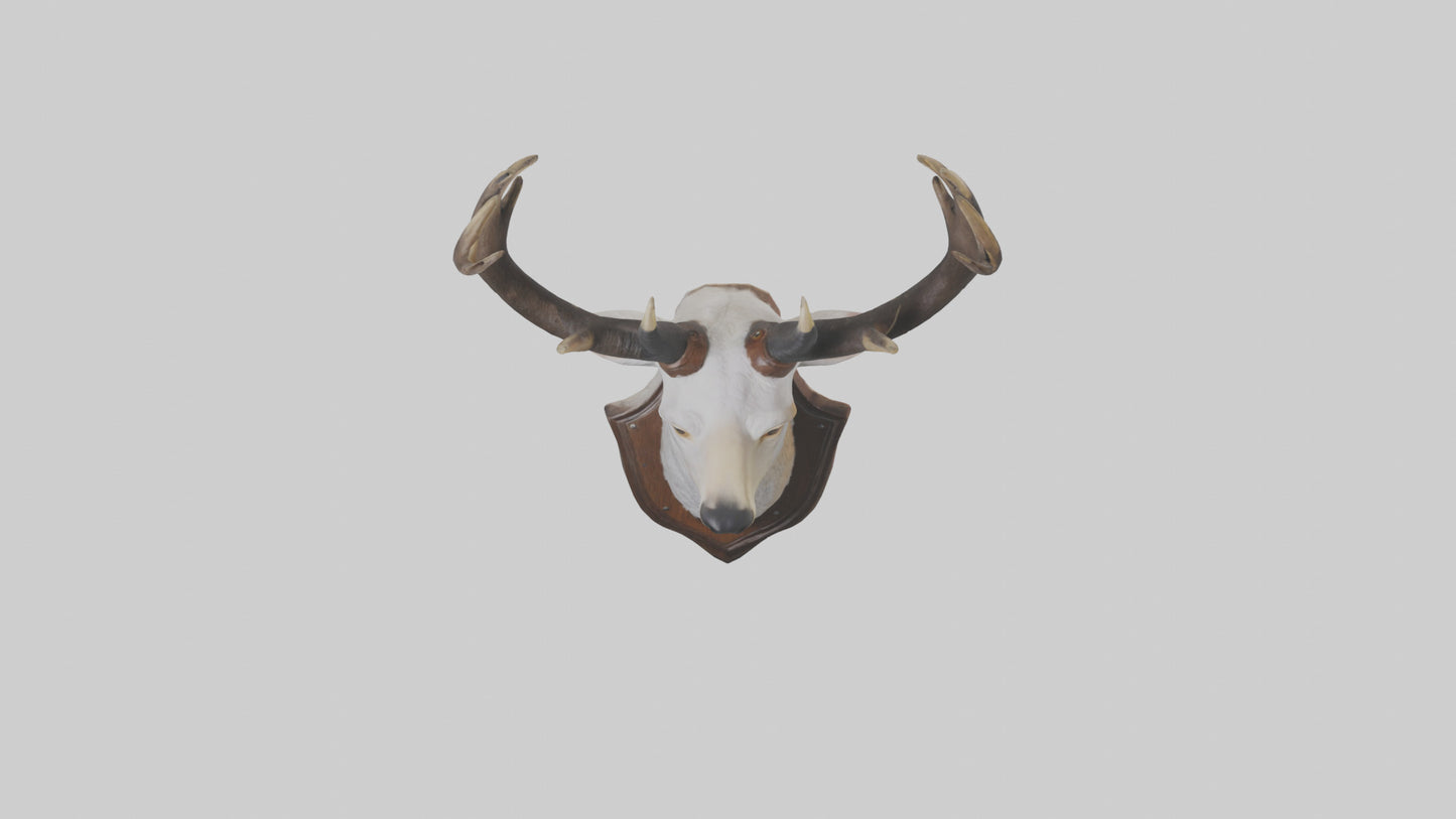 Faux animal head mount model 3D model