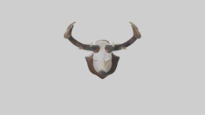Faux animal head mount model 3D model
