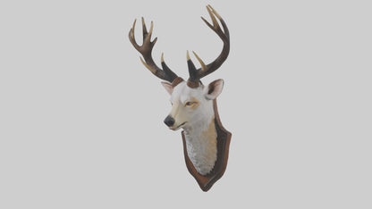 Faux animal head mount model 3D model