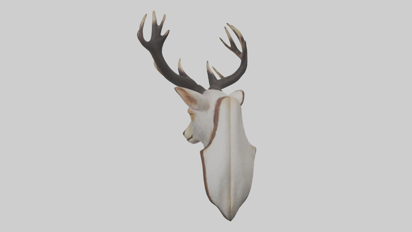 Faux animal head mount model 3D model