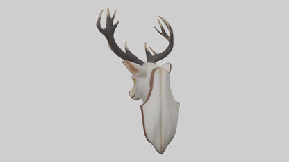 Faux animal head mount model 3D model