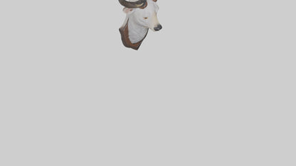 Faux animal head mount model 3D model