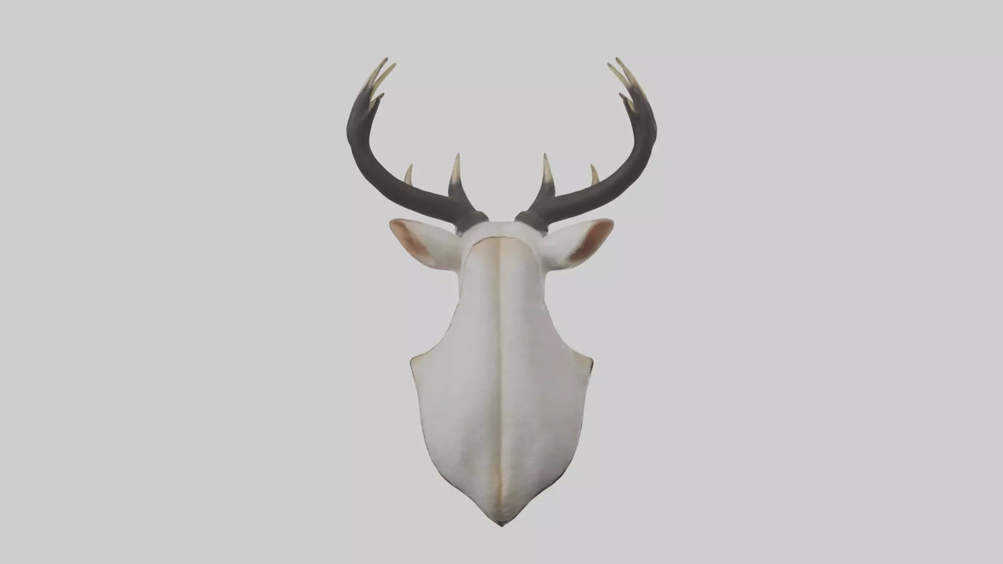Faux animal head mount model 3D model