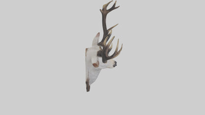 Faux animal head mount model 3D model
