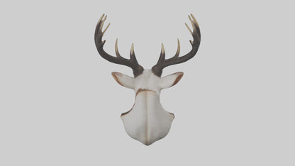 Faux animal head mount model 3D model