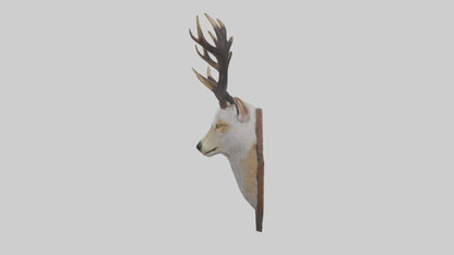 Faux animal head mount model 3D model