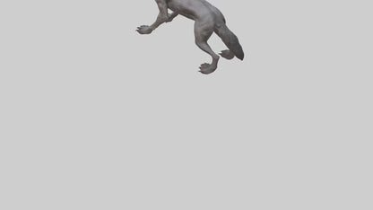 3D model Feral werewolf model VR / AR / low-poly