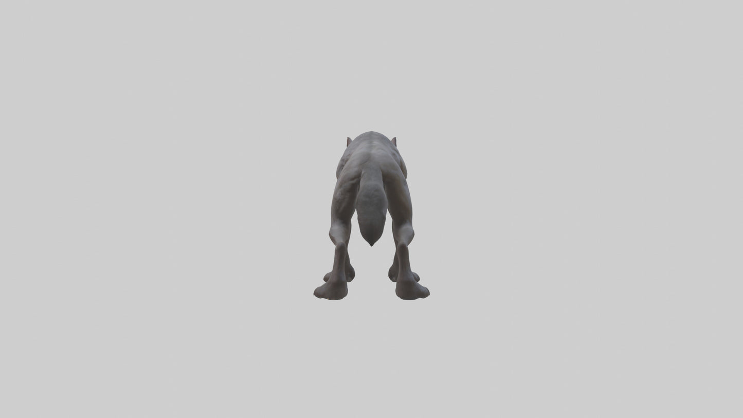3D model Feral werewolf model VR / AR / low-poly