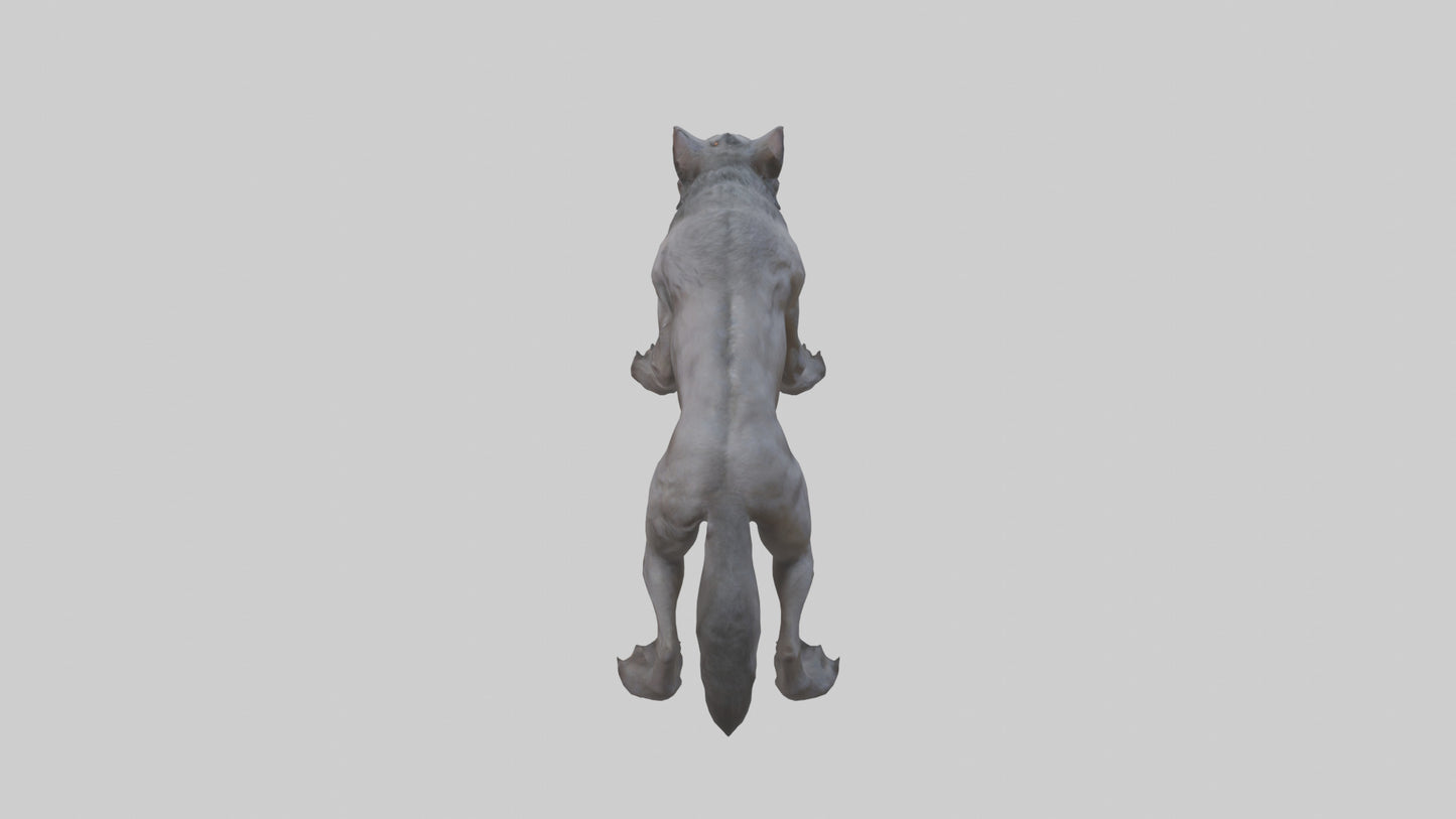 3D model Feral werewolf model VR / AR / low-poly