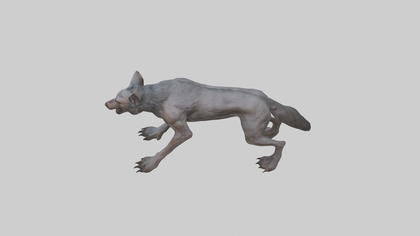 3D model Feral werewolf model VR / AR / low-poly