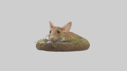 Field Mouse hiding model 3D model