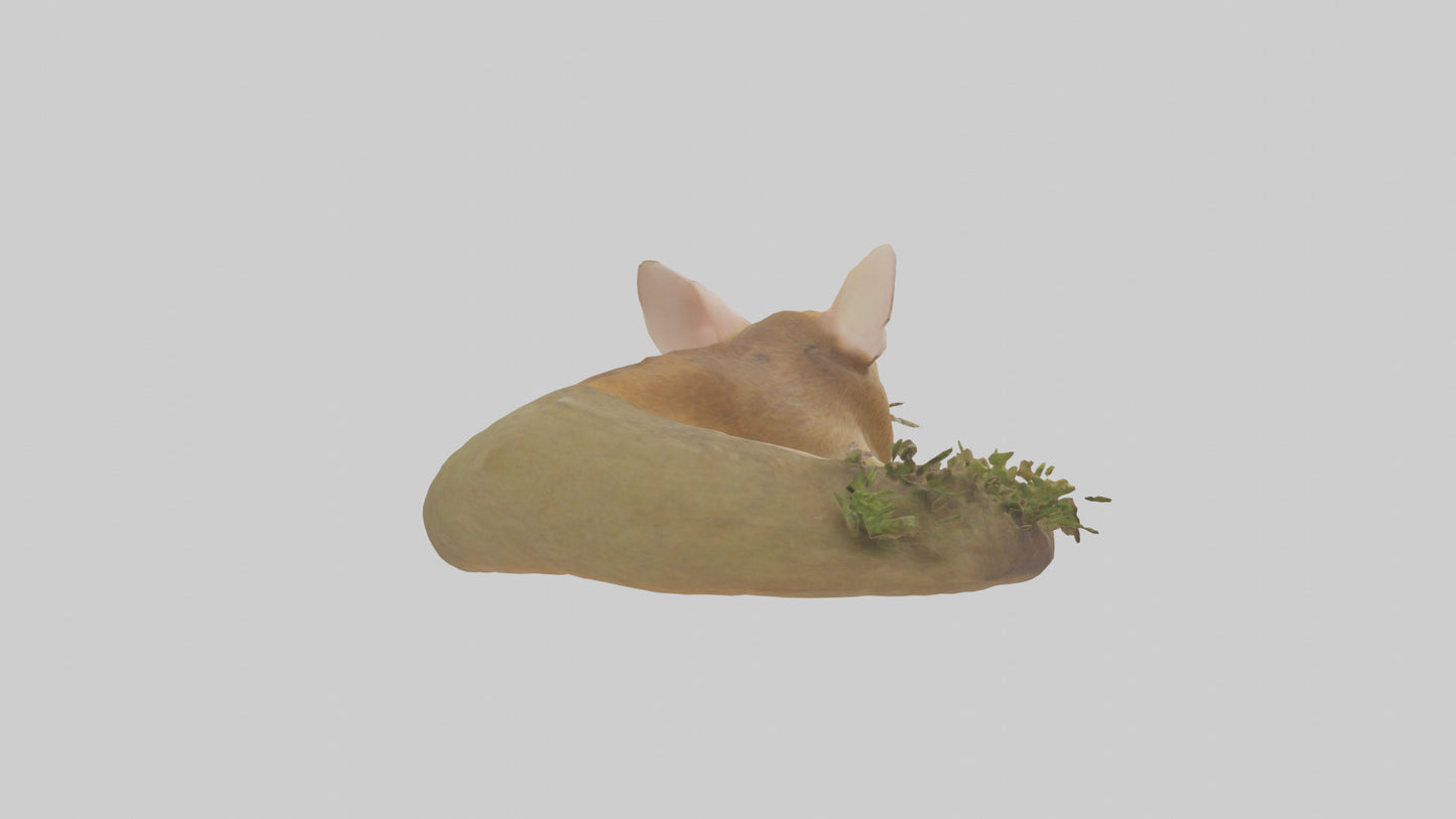 Field Mouse hiding model 3D model