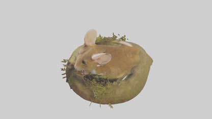 Field Mouse hiding model 3D model