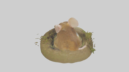 Field Mouse hiding model 3D model