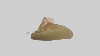 Field Mouse hiding model 3D model