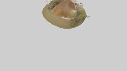 Field Mouse hiding model 3D model