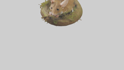 Field Mouse hiding model 3D model