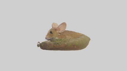 Field Mouse hiding model 3D model